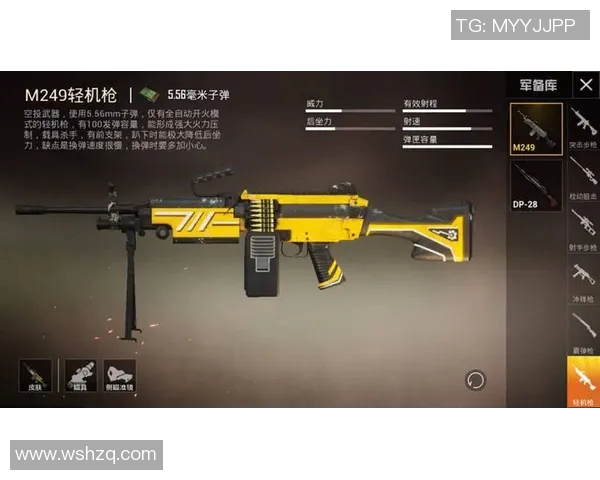 和平精英枪械平衡探讨如何提升游戏公平性与竞技性体验