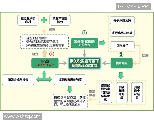 欧盟推出碳边境调节机制，旨在促进绿色经济发展