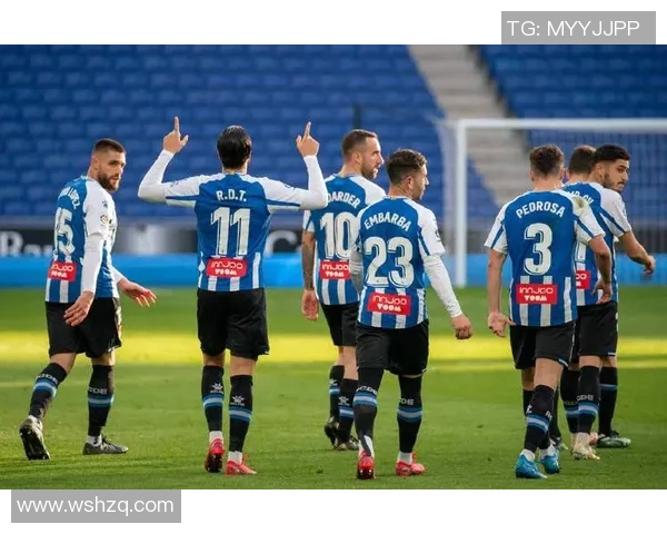 马德里竞技与西班牙人失利:足球迷的失望与期望 马德里竞技与西班牙人失利:足球迷的失望与期望